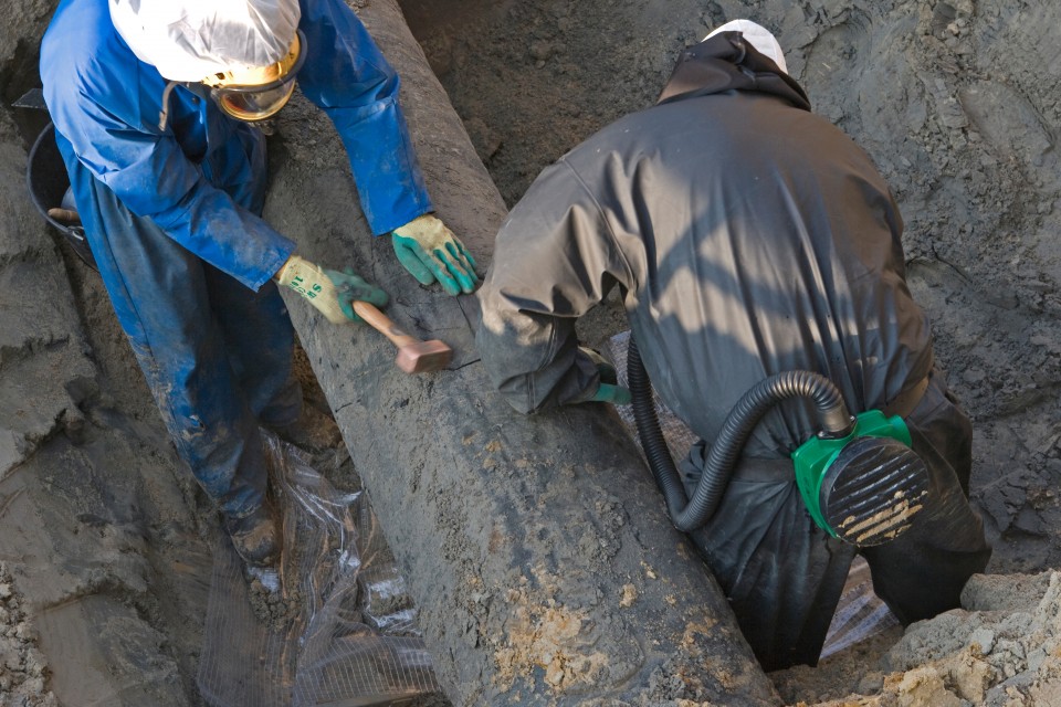 AdobeStock_249252323-960x640